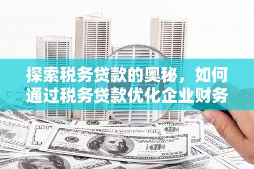 桑日探索税务贷款的奥秘，如何通过税务贷款优化企业财务
