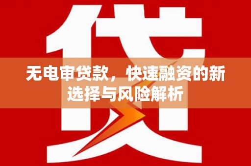 桑日无电审贷款，快速融资的新选择与风险解析