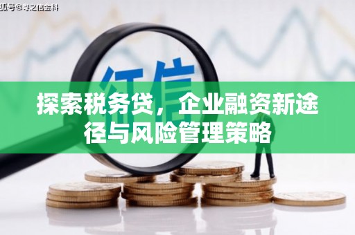 桑日探索税务贷，企业融资新途径与风险管理策略