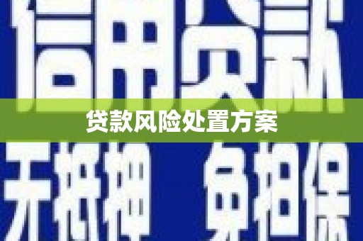 桑日贷款风险处置方案