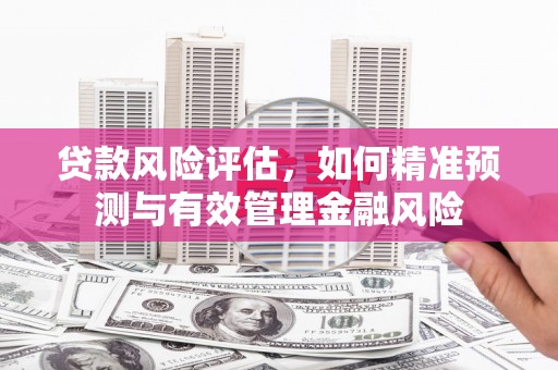 桑日贷款风险评估，如何精准预测与有效管理金融风险