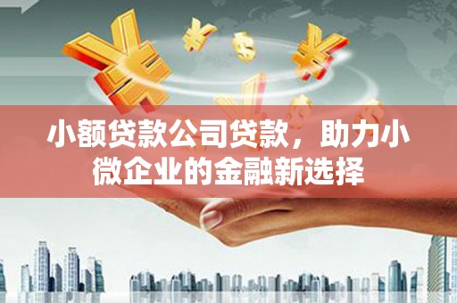 桑日小额贷款公司贷款，助力小微企业的金融新选择