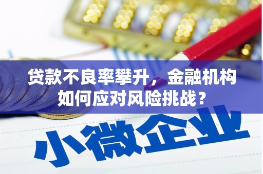 桑日贷款不良率攀升，金融机构如何应对风险挑战？