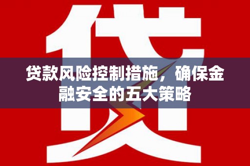 桑日贷款风险控制措施，确保金融安全的五大策略