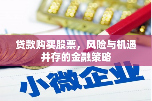 桑日贷款购买股票，风险与机遇并存的金融策略