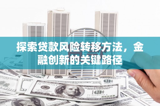 桑日探索贷款风险转移方法，金融创新的关键路径