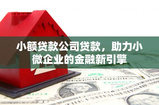 桑日小额贷款公司贷款，助力小微企业的金融新引擎