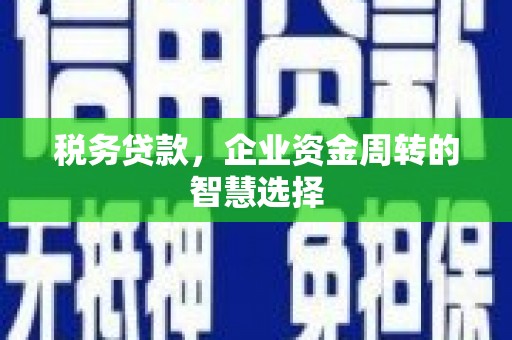 桑日税务贷款，企业资金周转的智慧选择