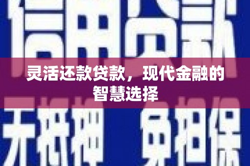 桑日灵活还款贷款，现代金融的智慧选择