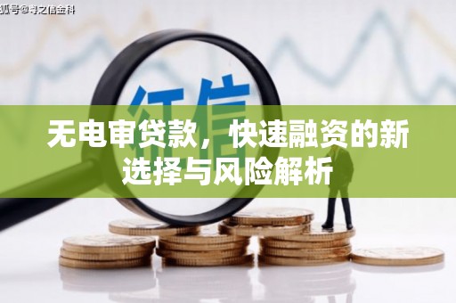 桑日无电审贷款，快速融资的新选择与风险解析