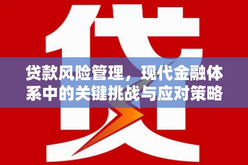 桑日贷款风险管理，现代金融体系中的关键挑战与应对策略