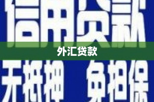 桑日外汇贷款