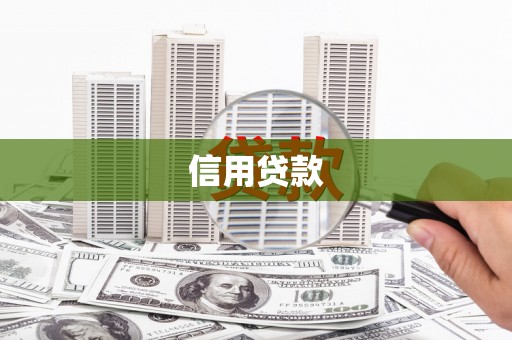 桑日信用贷款