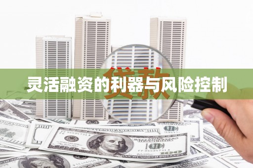 桑日灵活融资的利器与风险控制