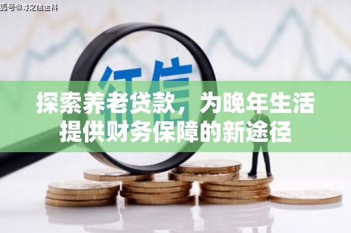 桑日探索养老贷款，为晚年生活提供财务保障的新途径