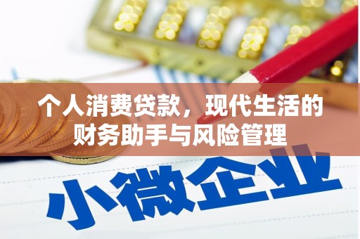 桑日个人消费贷款，现代生活的财务助手与风险管理
