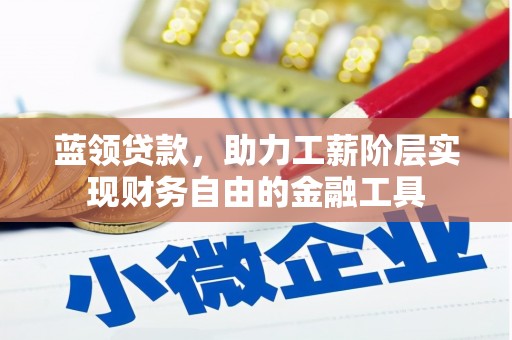 桑日蓝领贷款，助力工薪阶层实现财务自由的金融工具