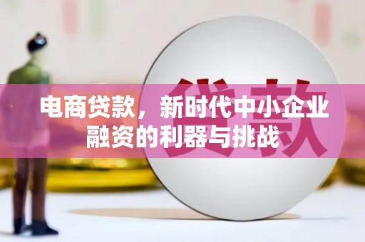 桑日电商贷款，新时代中小企业融资的利器与挑战
