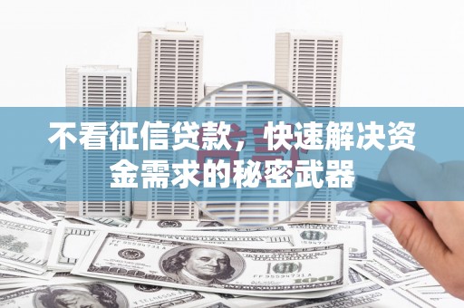 桑日不看征信贷款，快速解决资金需求的秘密武器