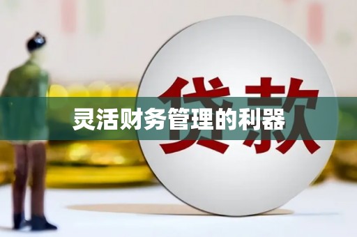 桑日灵活财务管理的利器
