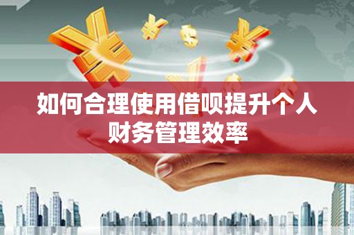 桑日如何合理使用借呗提升个人财务管理效率