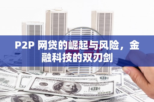 桑日P2P 网贷的崛起与风险，金融科技的双刃剑
