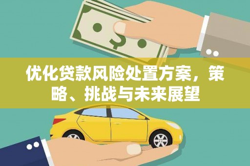 桑日优化贷款风险处置方案，策略、挑战与未来展望