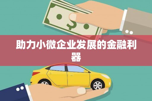 桑日助力小微企业发展的金融利器