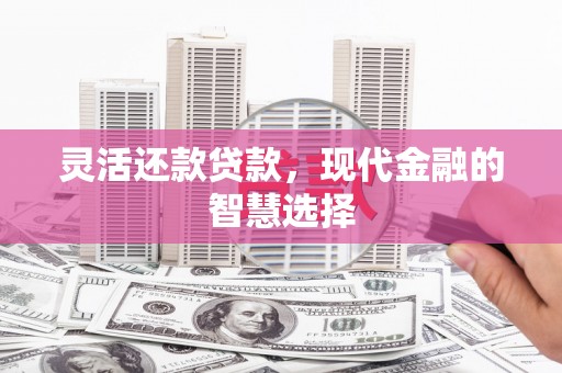 桑日灵活还款贷款，现代金融的智慧选择