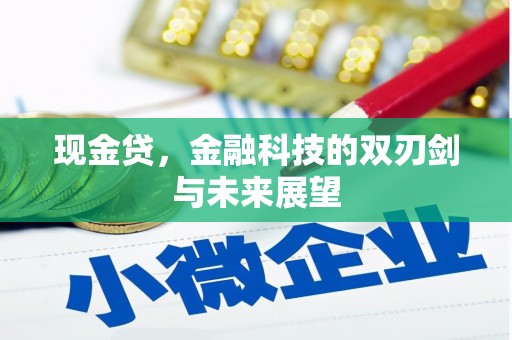 桑日现金贷，金融科技的双刃剑与未来展望