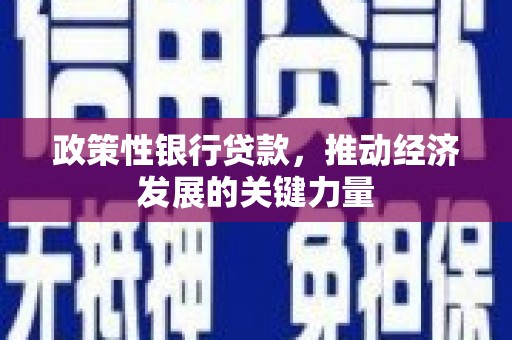 桑日政策性银行贷款，推动经济发展的关键力量