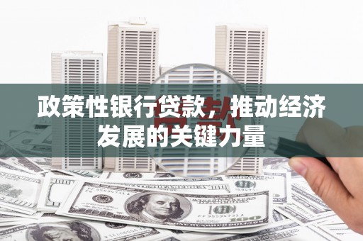 桑日政策性银行贷款，推动经济发展的关键力量