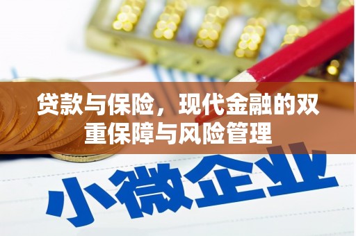 桑日贷款与保险，现代金融的双重保障与风险管理