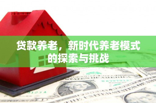 桑日贷款养老，新时代养老模式的探索与挑战