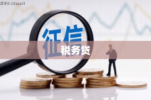 桑日税务贷