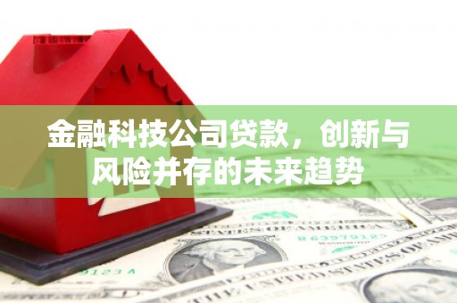 桑日金融科技公司贷款，创新与风险并存的未来趋势