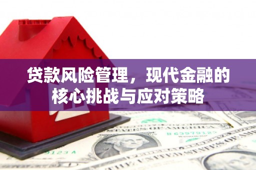 桑日贷款风险管理，现代金融的核心挑战与应对策略