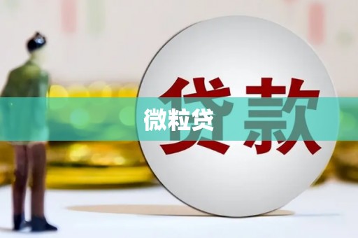 桑日微粒贷