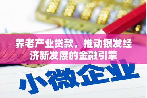 桑日养老产业贷款，推动银发经济新发展的金融引擎