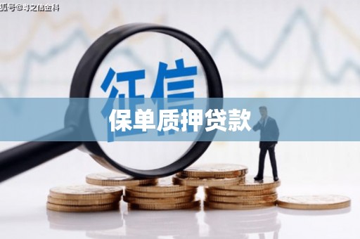 桑日保单质押贷款