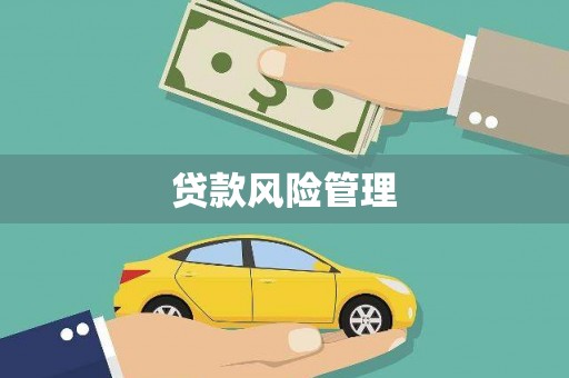 桑日贷款风险管理