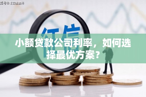 桑日小额贷款公司利率，如何选择最优方案？