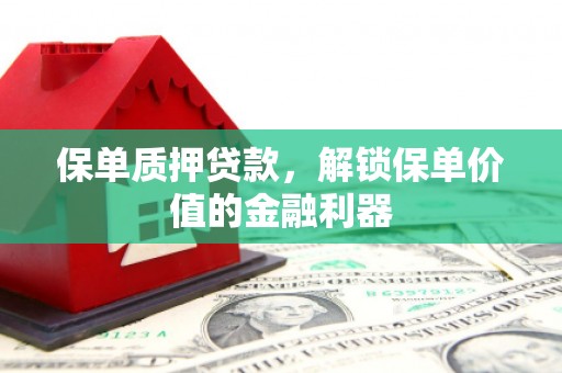 桑日保单质押贷款，解锁保单价值的金融利器