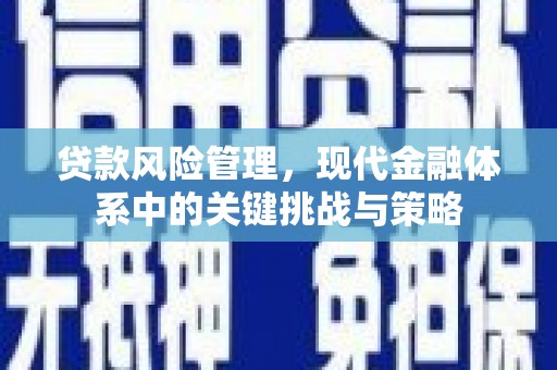 桑日贷款风险管理，现代金融体系中的关键挑战与策略