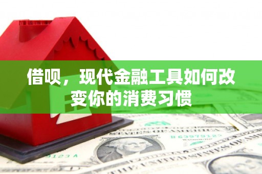 桑日借呗，现代金融工具如何改变你的消费习惯