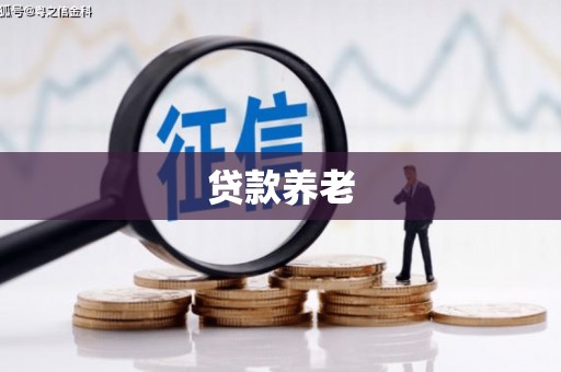 桑日贷款养老