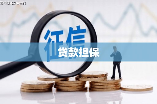 桑日贷款担保
