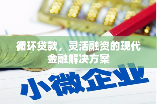 桑日循环贷款，灵活融资的现代金融解决方案