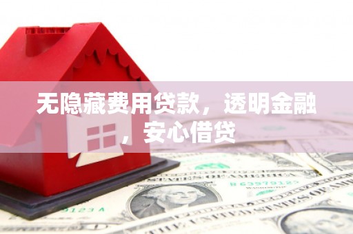 桑日无隐藏费用贷款，透明金融，安心借贷