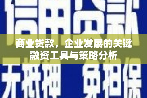 桑日商业贷款，企业发展的关键融资工具与策略分析